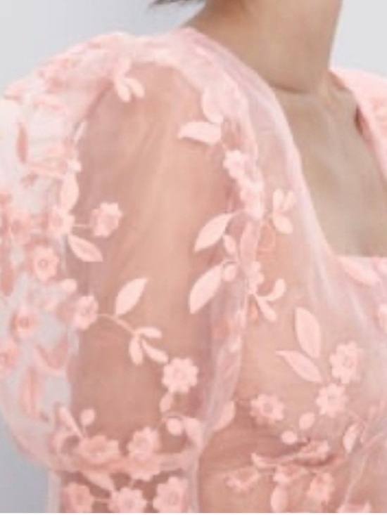 Zara Tops - ZARA Sheer Pink Floral Embroidered Puff Sleeve Crop Top